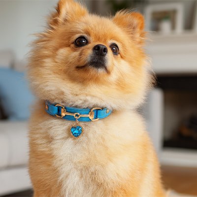 collier chien pendentif décoratif élégant et securise