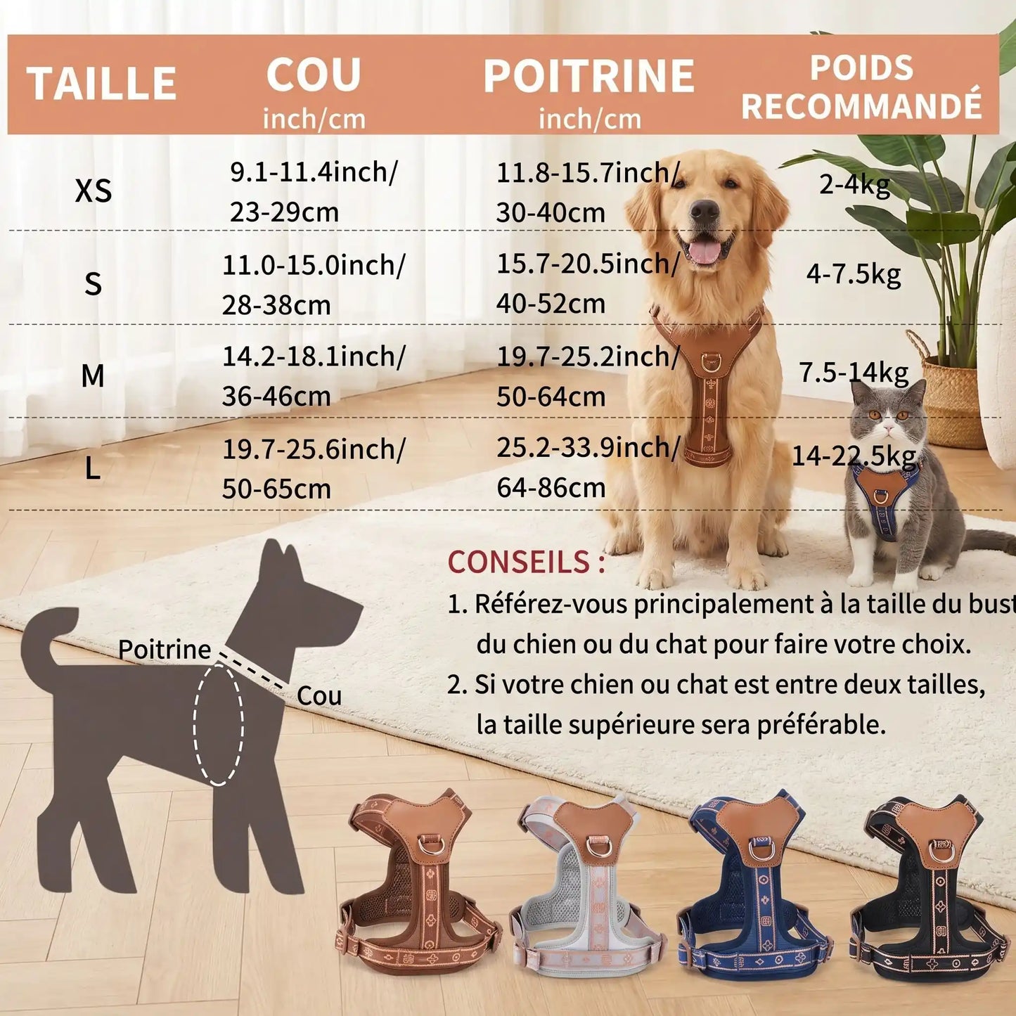 Harnais chien en Y | Anti-Traction Confort