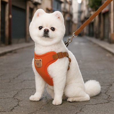 harnais pour petit chien sechage rapide