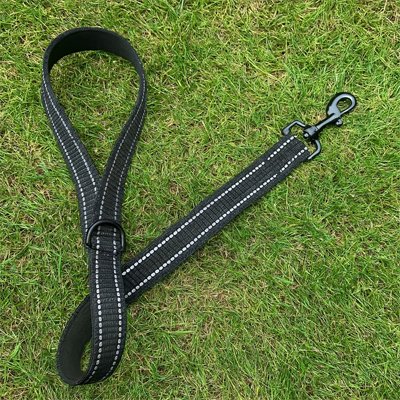laisse chien nylon resiste aux mordillements