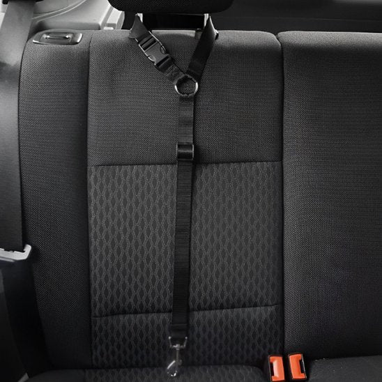 laisse courte protection