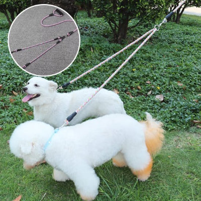 Laisse double pour chien inseparable