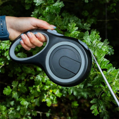 laisse retractable avec poigee