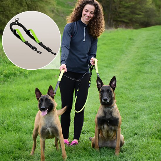 Double laisse pour chien | Ultra-Résistante