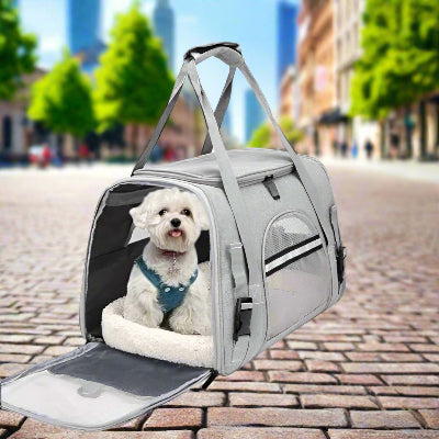 sac de transport pour chien respirant