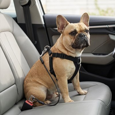 Attache ceinture pour chien ceinture de sécurité automobile 