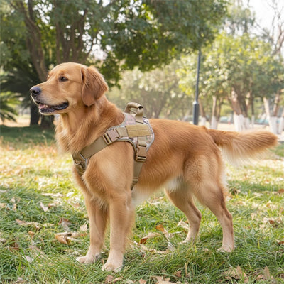 Harnais anti-traction chien puissant tactique ajustable promenade en extérieur