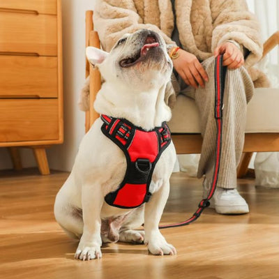 Harnais pour chien reflechissant et confortable