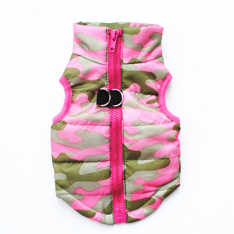 Chien manteau |  Picotou