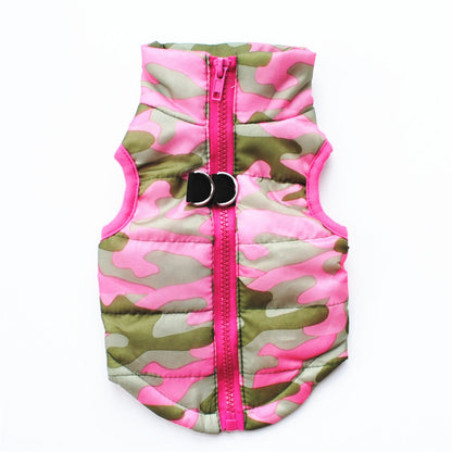 Chien manteau |  Picotou