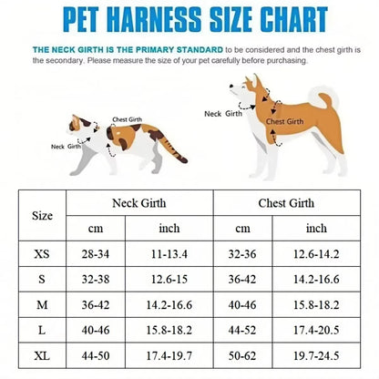 Harnais pour Petit Chien : confort et sécurité au quotidien