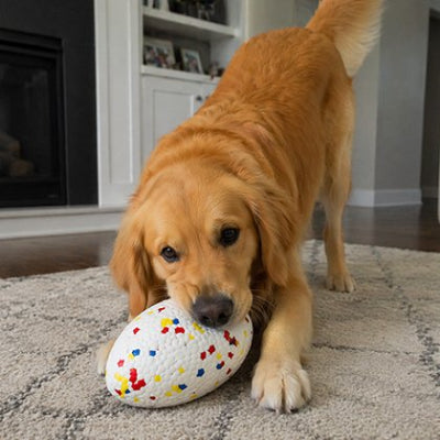 CaniBalle pour Chien coloris blanc avec motifs multicolores