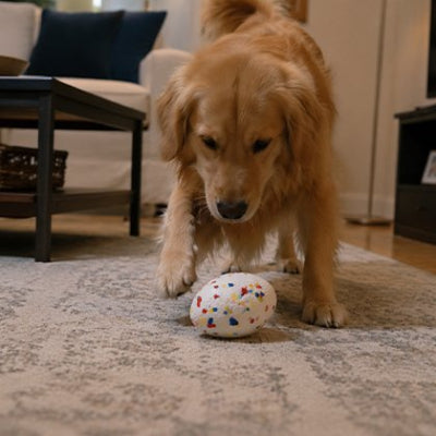 CaniBalle pour Chien matériau résistant: