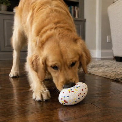 CaniBalle pour Chien  surface antidérapante permettant une meilleure prise en gueule 