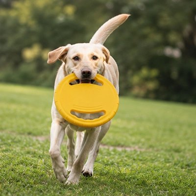 CaniPlane frisbee chien format adapté au transport