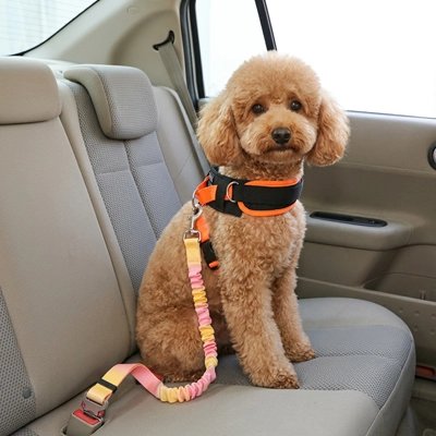 Ceinture de sécurité pour chien /  Attache universelle pour ceinture