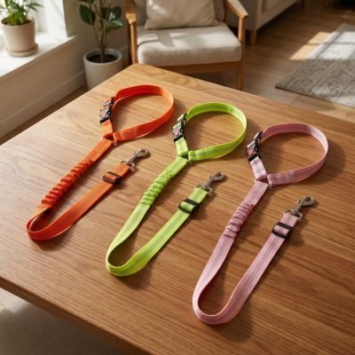 Ceinture de sécurité pour chien avec une visibilité optimale et un choix esthétique varié