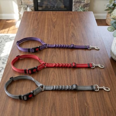 Ceinture de sécurité pour chien couleurs différente