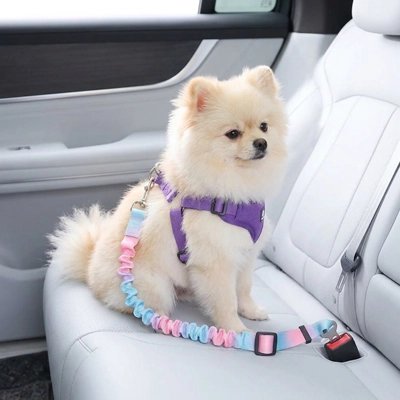 Ceinture de sécurité pour chien / Installation simple