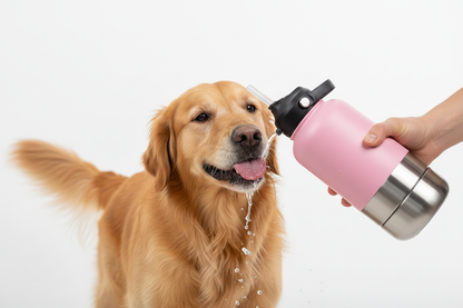 Chien buvant à la gourde rose
