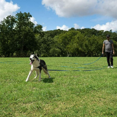 chien laisse en nylon impermeable