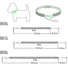 Collier pour chiot | Élégant et confortable