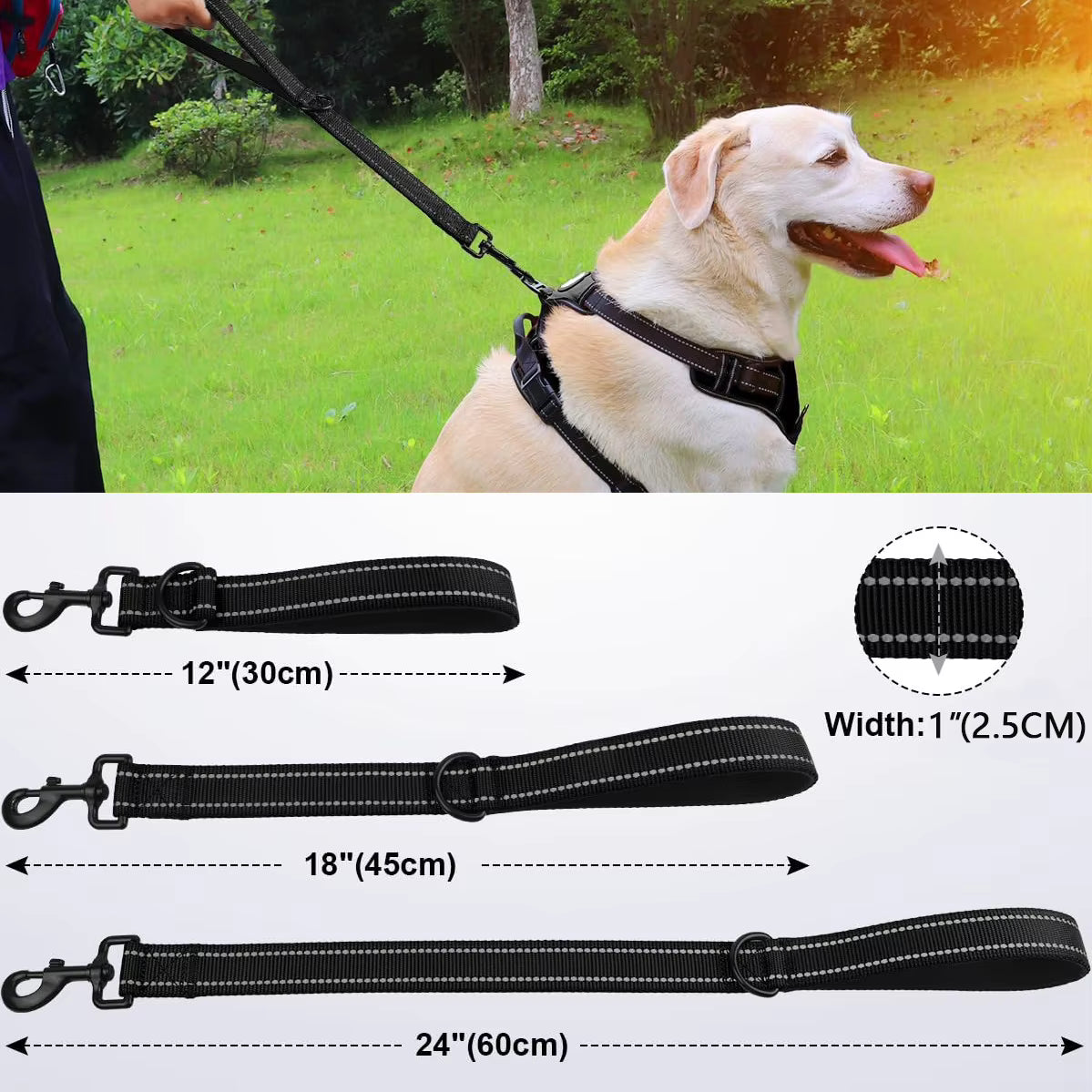 LAISSE CHIEN | COLLE SERRE