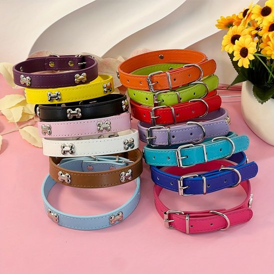 collier de chien de differente couleur 