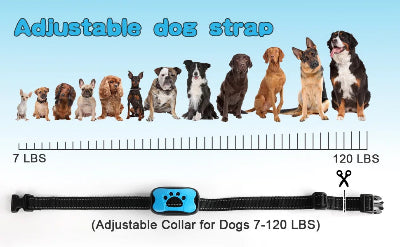 collier de dressage pour chien mesure-anti-aboiement