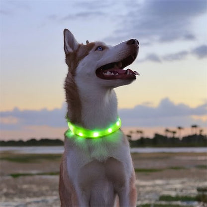 collier lumineux chien materiaux ABS PVC