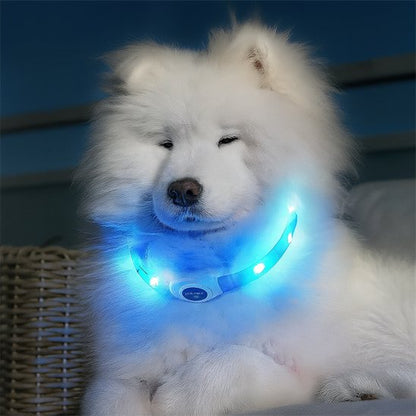 collier- lumineux chien resistant a la pluie
