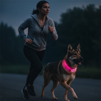 collier lumineux chien visibilite a plus de 300 metres