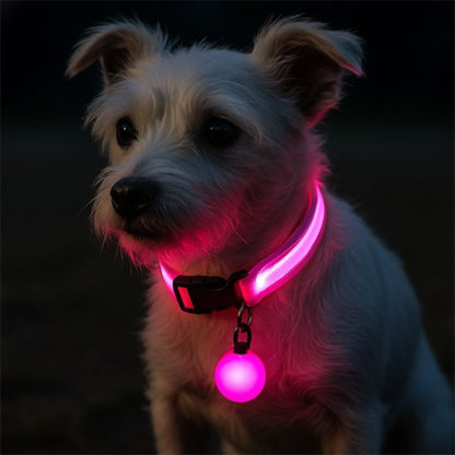 Collier lumineux pour chien protecteur