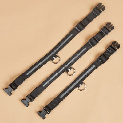 collier pour chien anneau grandeur ajustable