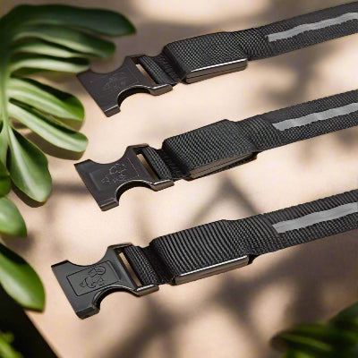 collier pour chien attache securitaire