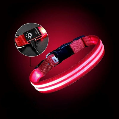 collier pour chien rechargeable