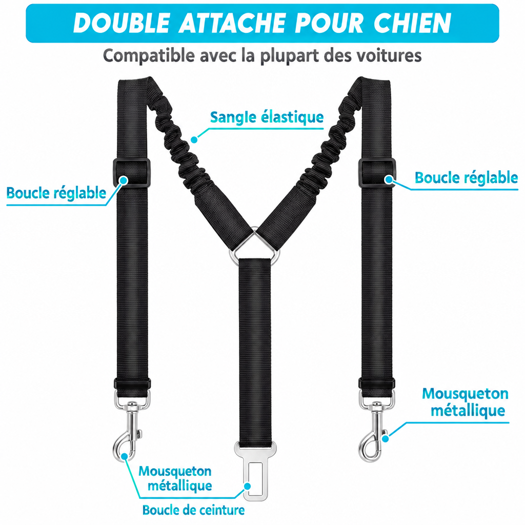 Double attache pour chien avec les textes en français