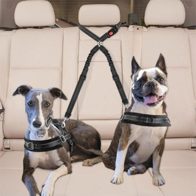 Double laisse pour chien conforme aux normes