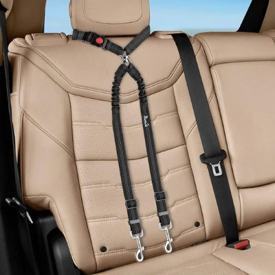 Double laisse pour chien securitaire