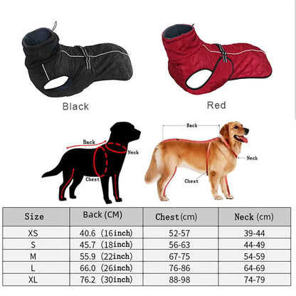 Manteau pour Chien | Douillet Imperméable