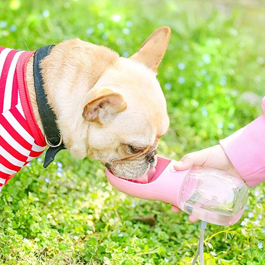 Gamelle intégrée inclinée pour chien 