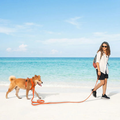 Longe pour chien anti-traction – 10m résistante et sans odeur