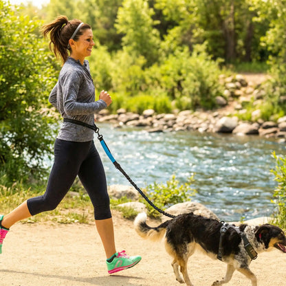 Laisse chien main libre - Confort Pro
