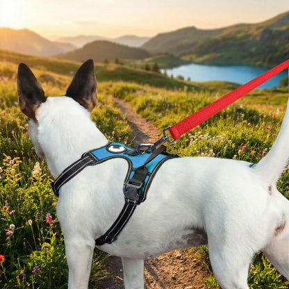 Laisse pour chien | Robuste