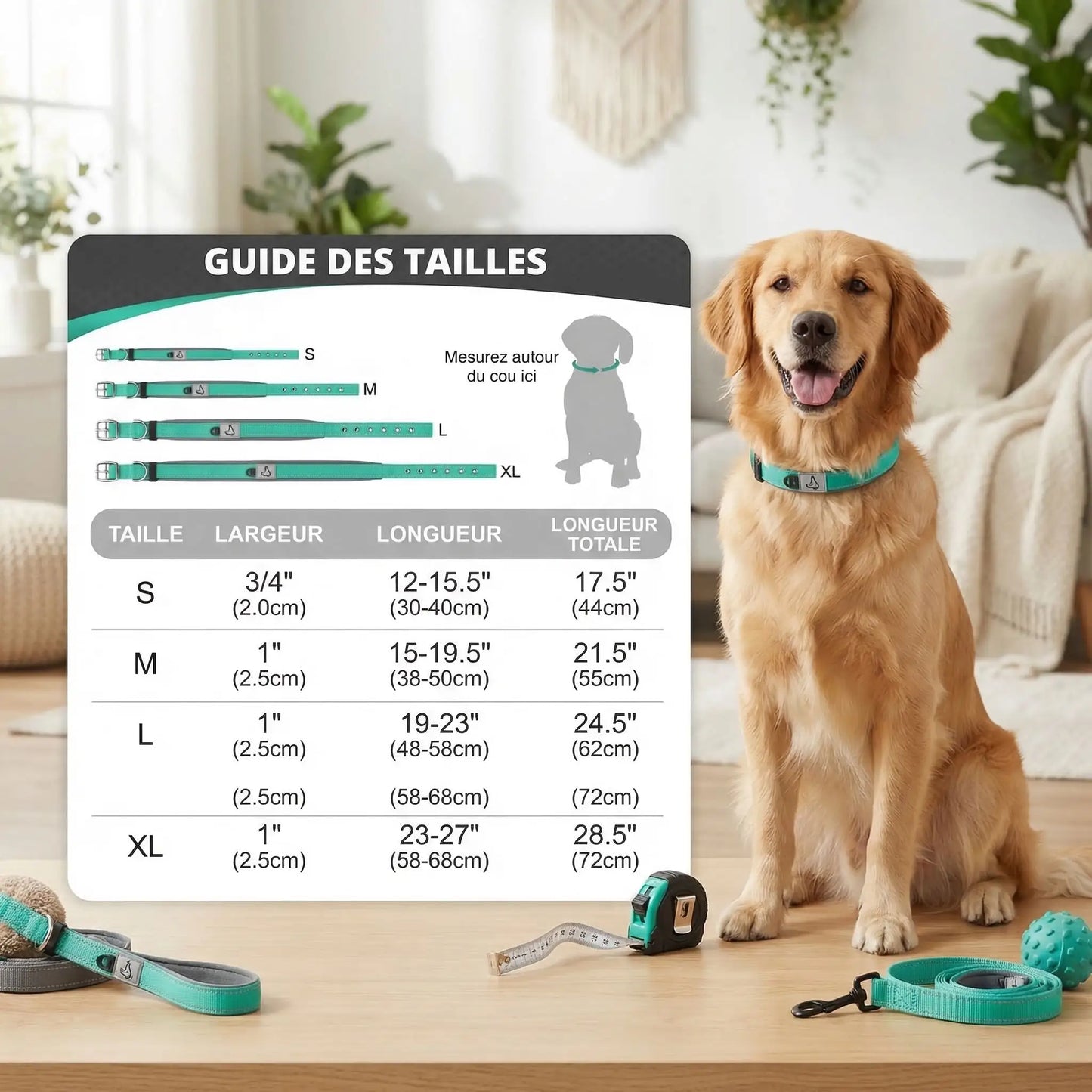 Harnais pour chien - Nuit douce