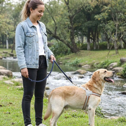 Harnais chien anti-traction confortable et sécurisé | Atlas