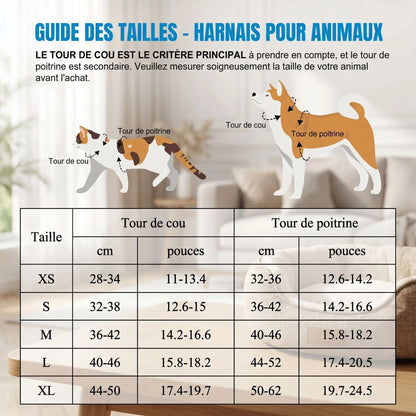 Harnais pour petit chien respirant et ajustable | Mini Star