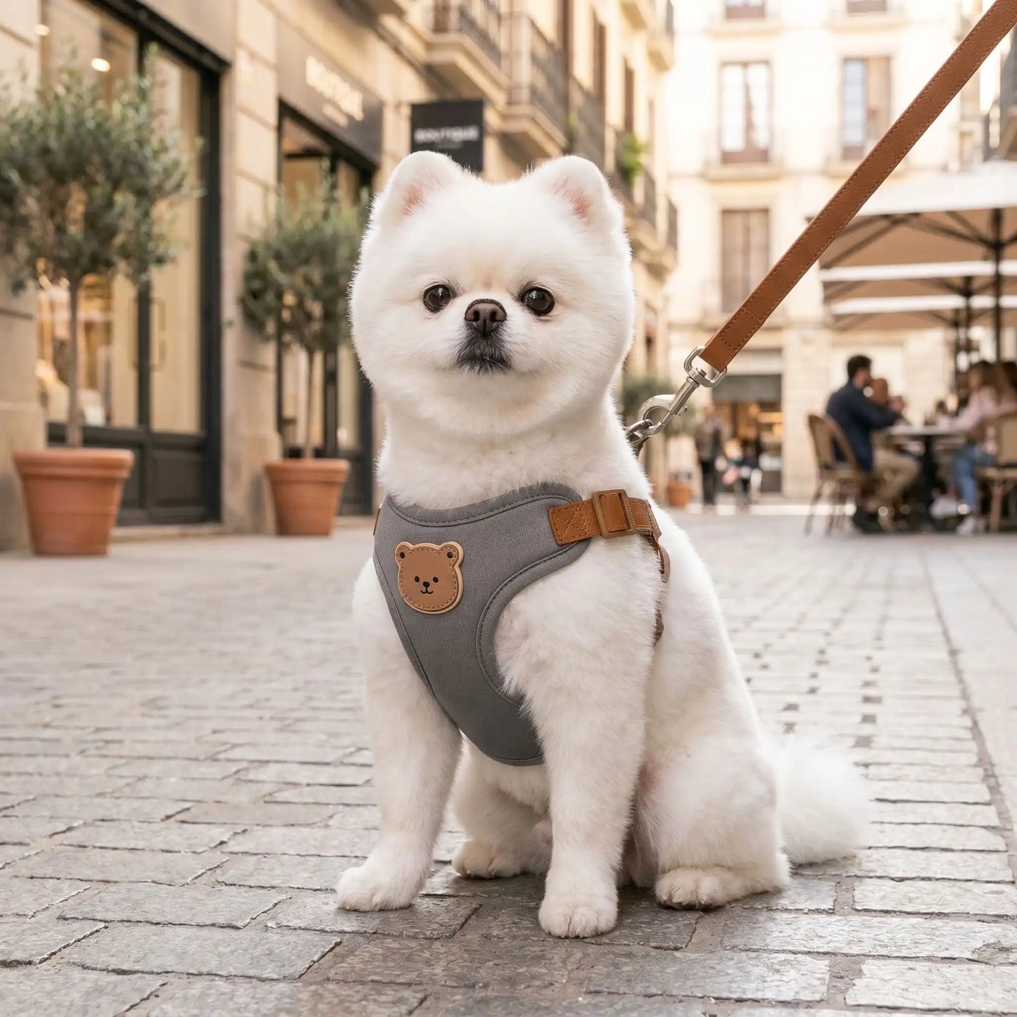 Harnais pour petit chien respirant et ajustable | Mini Star