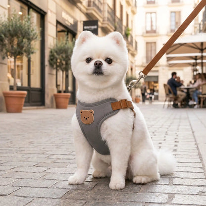 Harnais pour petit chien respirant et ajustable | Mini Star