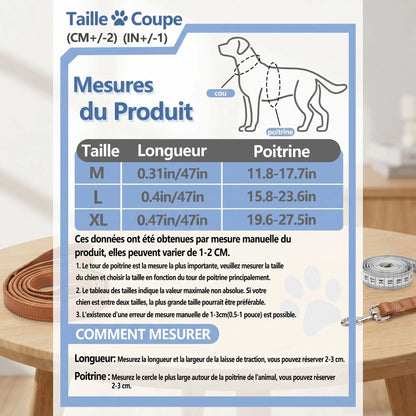 Harnais pour chien pastel avec laisse assortie